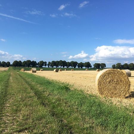 Ferienapartment Kastanje Gross Ippener Esterno foto