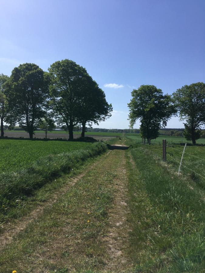 Ferienapartment Kastanje Gross Ippener Esterno foto